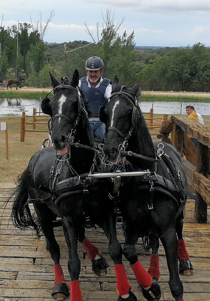 Excelente representación Navarra en la Copa S.M. el Rey de Enganches 2018